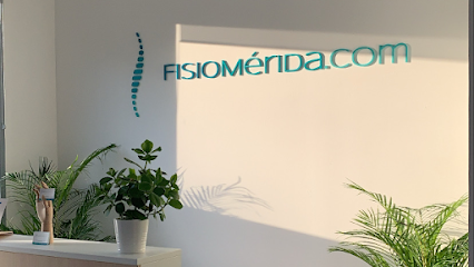 fisiomerida.com