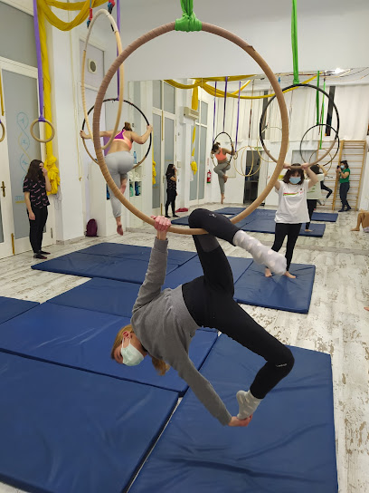 4 Elements · Acrobatics · Pole · Fitness · Yoga